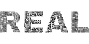 real-3166208_1280